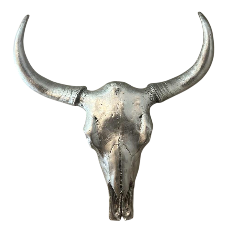 Photo 1 of SILVER BULL SKULL MOUNT ART 25” X 26”