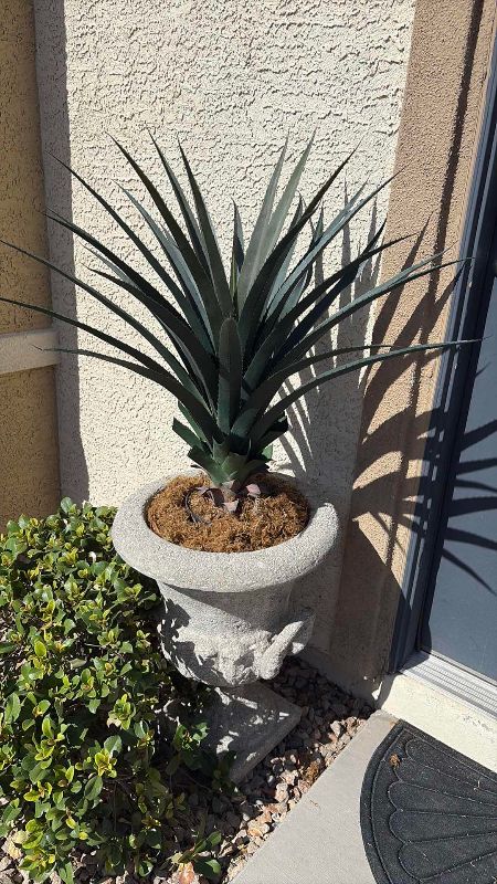 Photo 1 of OUTDOOR CONCRETE PLANTER 20”X 24” H