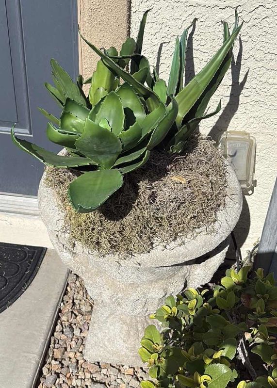 Photo 1 of OUTDOOR CONCRETE PLANTER 20”X 24” H