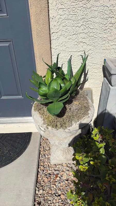 Photo 1 of OUTDOOR CONCRETE PLANTER 20”X 24” H