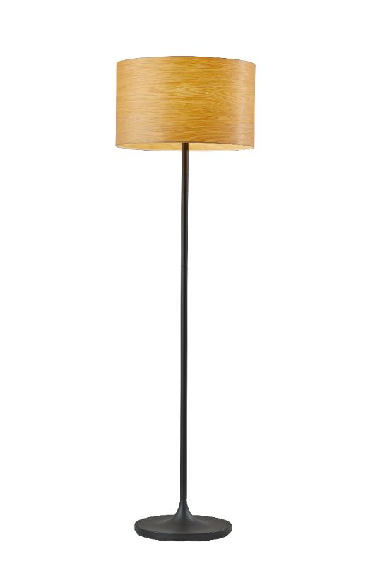 Photo 1 of Adesso Oslo Floor Lamp Matte Black
Dimensions: 19.70 in (L) x 19.70 in (W) x 15.00 in (H)
