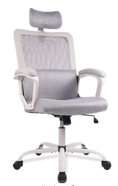 Photo 1 of Ergonomic Gray Mesh Home Office Chair with Lumbar Support/Adjustable Headrest/Armrest and Wheels/Mesh High Back
