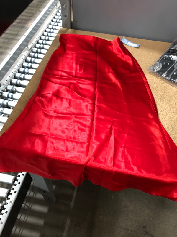Photo 1 of Alcea rosea skirt red SIZE S
