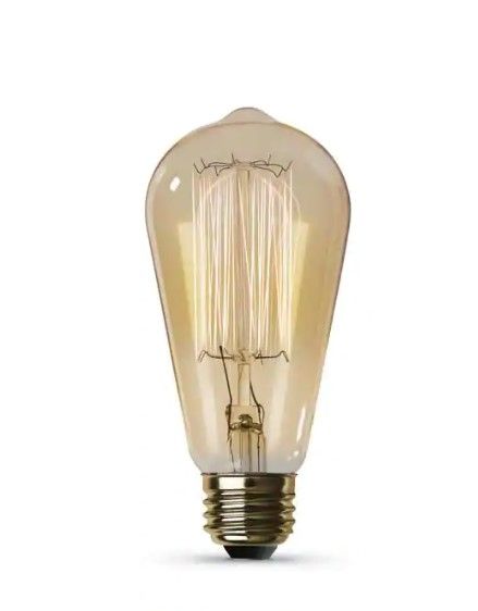 Photo 1 of 60-Watt ST19 Dimmable Cage Filament Amber Glass E26 Incandescent Vintage Edison Light Bulb, Warm White - 6 PACK 