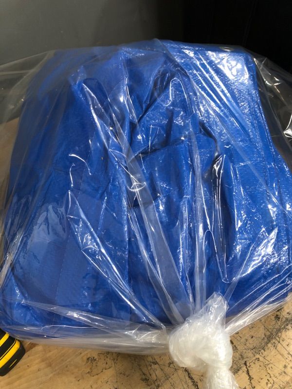 Photo 1 of  10X12 BLUE MEDIUM DUTY TRAPDUTY TR