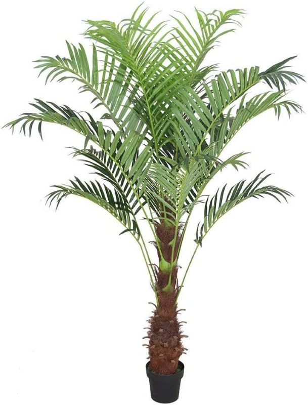 Photo 1 of **DAMAGED** AMERIQUE Gorgeous Tech, w Gorgeous & Unique 5 Feet Phoenix Palm Artificial Plant Tree with Nursery Plastic Pot, Real Touch Technology, 5', Green
