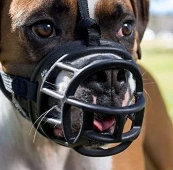 Photo 1 of  Dog Muzzle Dogs, Prevents Chewing and Biting, Basket Allows Panting and Drinking-Comfortable, Humane, Adjustable, Lightweight, Durable, 6 Sizes, Black