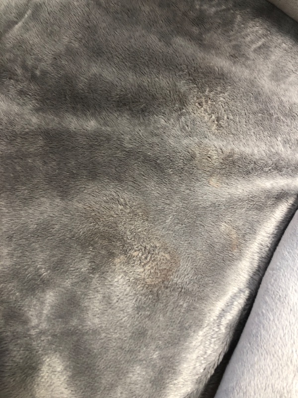 Photo 2 of (CRUSTY SURFACES)
Furhaven smoke grey sofa pet bed medium