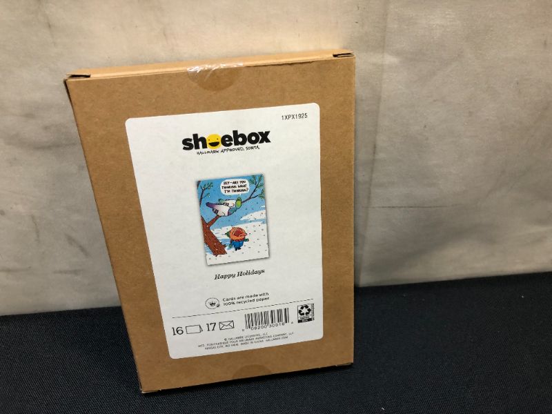 Photo 2 of  Hallmark Shoebox Funny Boxed Holiday Cards, Snowbirds