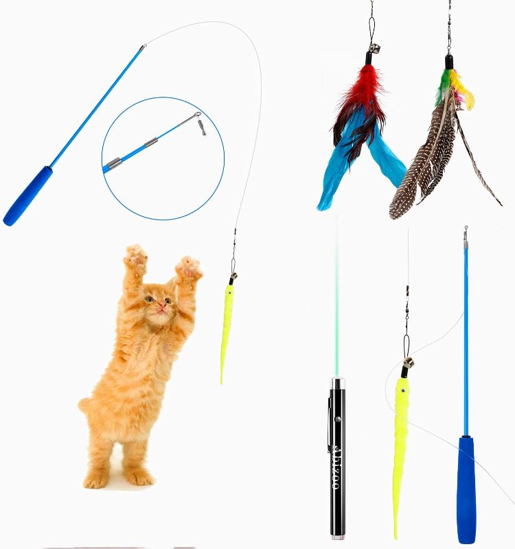 Photo 1 of Abizoo 5 Pcs Retractable Cat Feather Toys with 3 Worm Bird Feather Attachments and Green Interactive Feather for Training Exercise Having Fun with Pet Kitten, Indoor Play Cat Feather Toys
