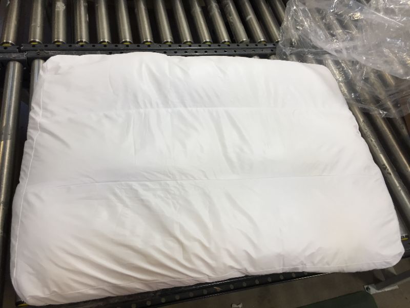 Photo 1 of 28"x37' dog bed pillow 