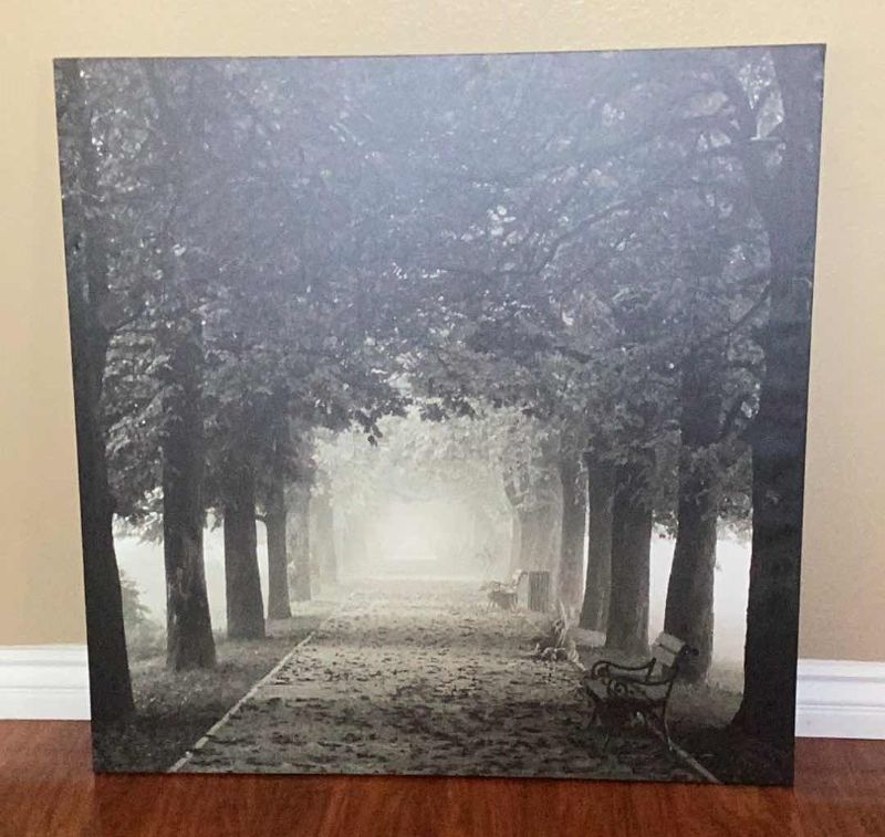 Photo 1 of PJATTERYD MISTY ROAD CANVAS PRINT 35” X 36”