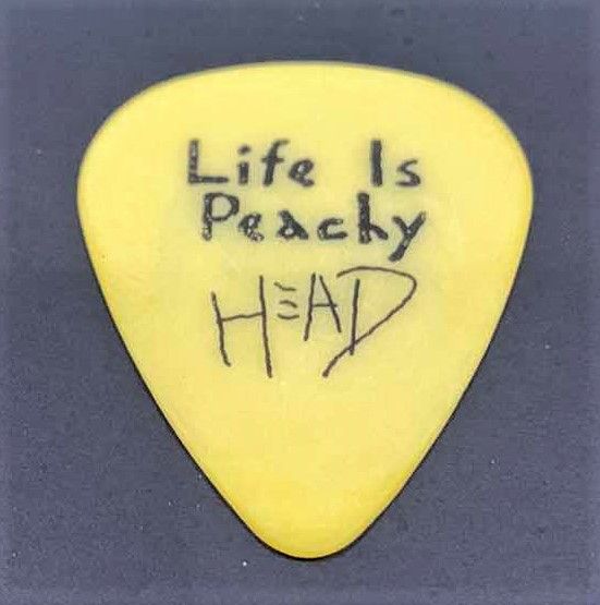 Photo 1 of COLLECTIBLE MEMORABILIA SIGNED GUITAR PICK, KORN LIFE IS PEACHY
