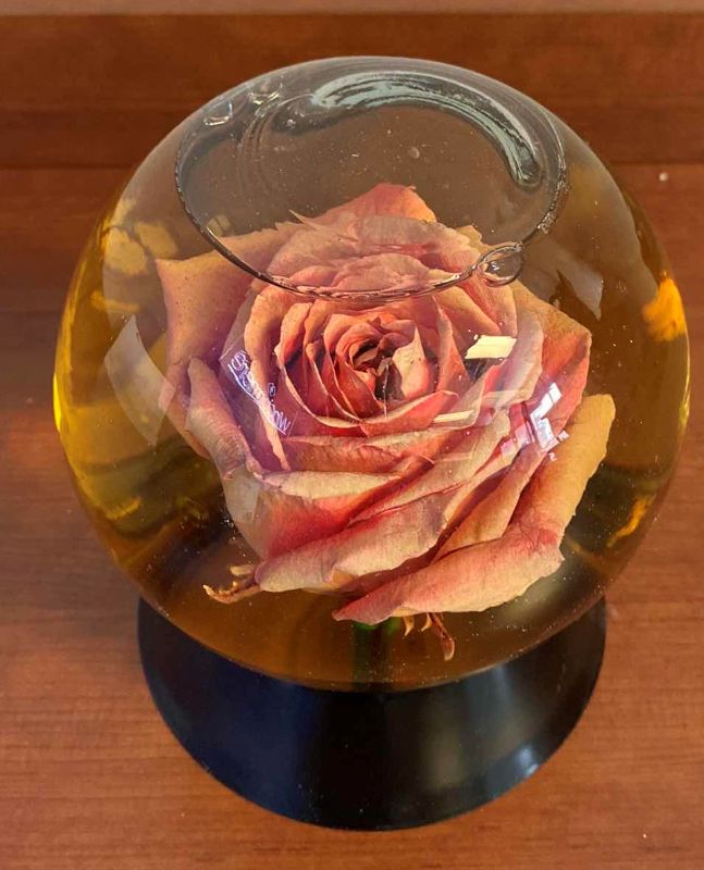 Photo 2 of ROSE IN GLASS GLOBE 6” X H7”