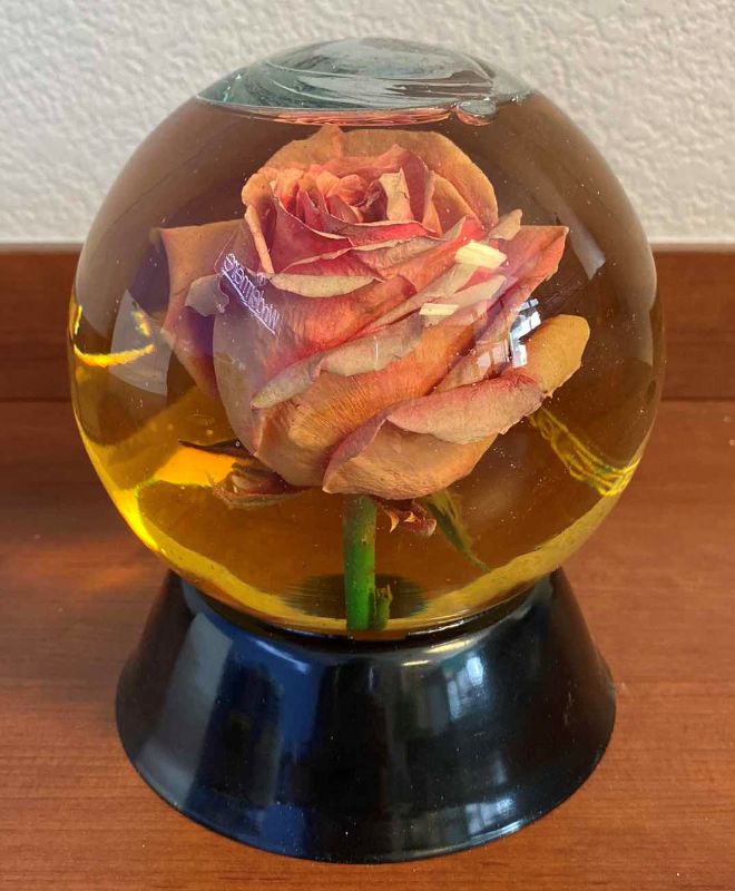 Photo 1 of ROSE IN GLASS GLOBE 6” X H7”