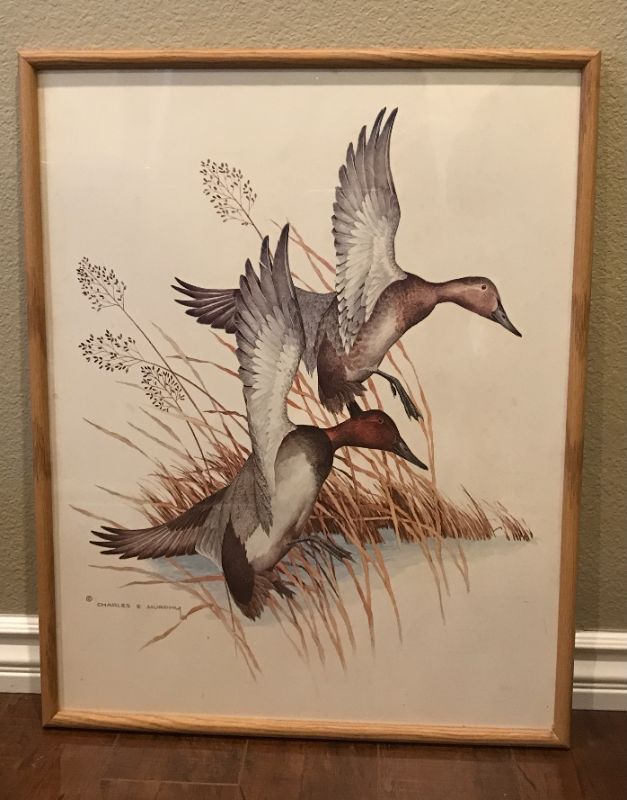 Photo 1 of CHARLES E MURPHY FRAMED VINTAGE PRINT “TWO DUCKS IN FLIGHT“. 23”x29”