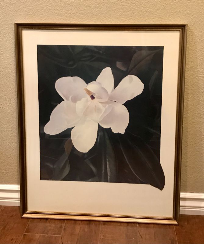 Photo 1 of MAGNOLIA ART PRINT - COPYRIGHT 1985 BLUE SKY 25”x31”