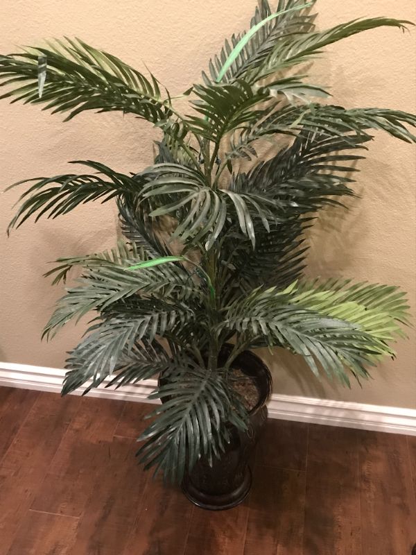 Photo 1 of FAUX HOUSE PLANT 46” TALL