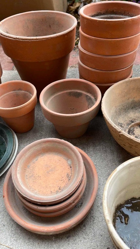 Photo 3 of TERRACOTTA PLANTERS 