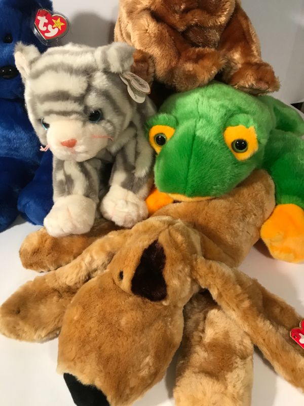 Photo 3 of TY BEANNIE BUDDIES FROG, CAT, DOG 