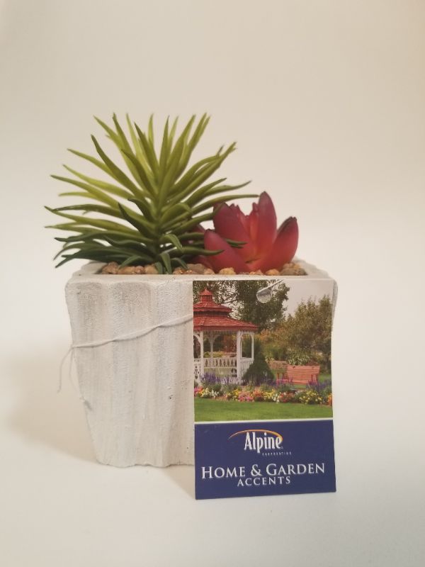 Photo 1 of ALPINE HOME AND GARDEN ACCENTS DECORATIVE SUCCULENT NEW 