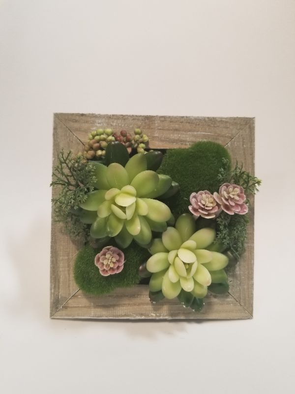 Photo 1 of SQUARE WALL DECOR SUCCULENT 6 IN × 6 IN NEW