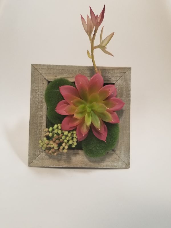 Photo 1 of SQUARE WALL DECOR SUCCULENT 6 IN × 6 IN NEW