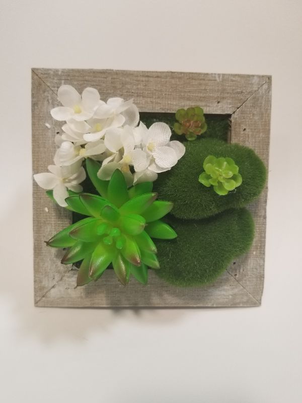 Photo 1 of SQUARE WALL DECOR SUCCULENT 6 IN × 6 IN NEW