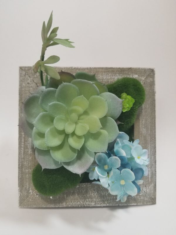 Photo 1 of SQUARE WALL DECOR SUCCULENT 6 IN × 6 IN NEW