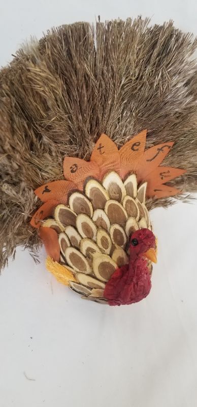 Photo 1 of PLUMMED TURKEY NEW
