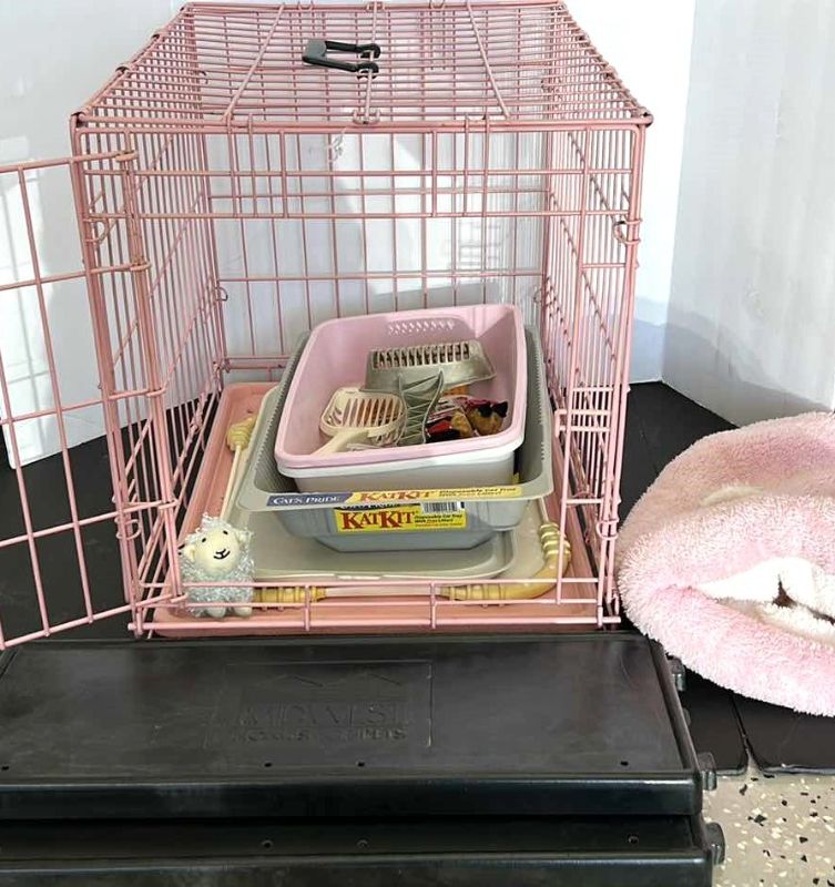 Photo 1 of CAT CRATE SUPPLIES AND ACCESSORIES