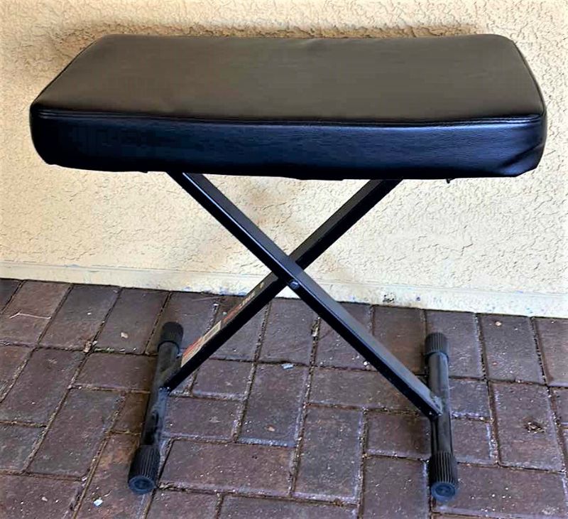 Photo 1 of PRO LINE PADDED BENCH 24.5” x 13.5” x H22”