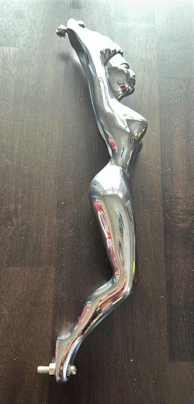 Photo 1 of CHROME HANDLE 12” LONG