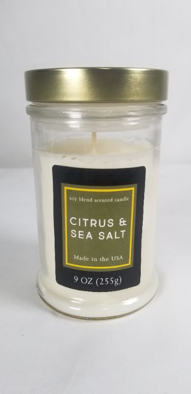 Photo 1 of CITRUS AND SEA SALT  9 OZ SOY BLEND SCENTED CANDLE NEW