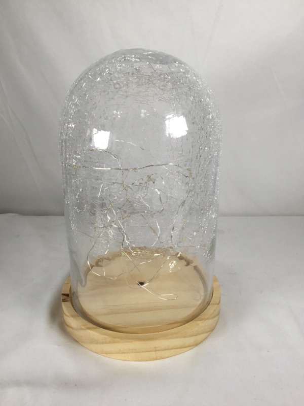 Photo 1 of GLASS DOME WITH LIGHTS AND  WOOD BASE NEW 