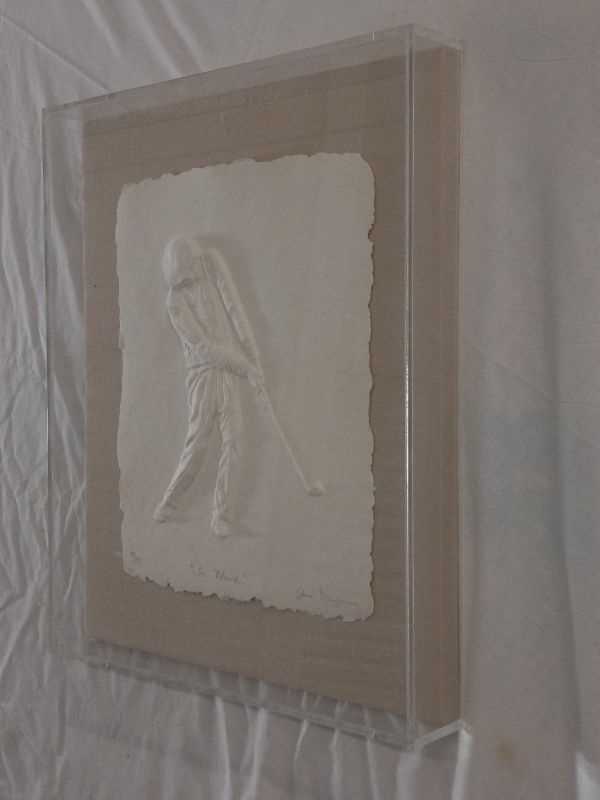 Photo 1 of THE HAWK CAST PAPER ARTWORK BY JANICE MONTGOMERY IN ACRYLIC CASE 16.5” X 20”