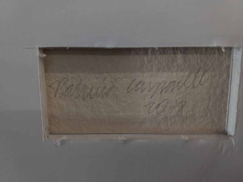 Photo 1 of UNIQUE ABSTRACT FRAMED ARTWORK SIGNED BY PATRICIA CARPELLI 13.25” X 16”