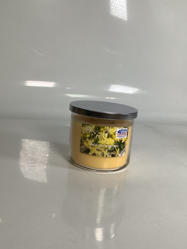 Photo 1 of JAR CANDLE MAINSTAYS 3 WICK WILD HONEYSUCKLE 14OZ NEW