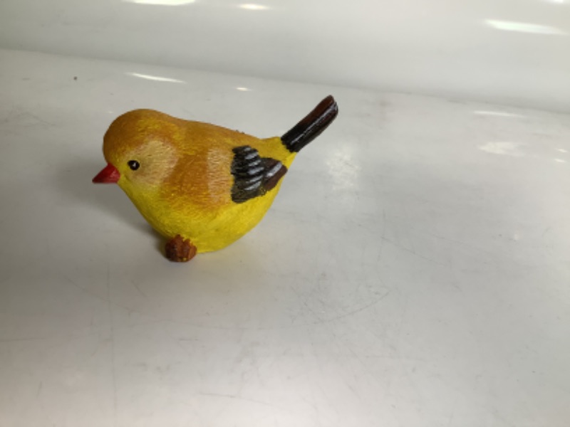 Photo 2 of SMALL GOLDFISH BIRD NEW