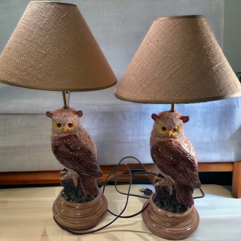 Photo 1 of VINTAGE CERAMIC OWL LAMPS