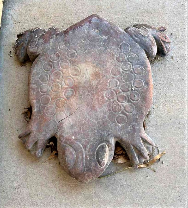 Photo 1 of OUTDOOR DECOR CONCRETE FROG 17” x 17”