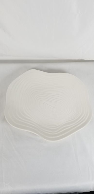 Photo 2 of WHITE BRICH OVAL CERAMIC SERVING PLATE 11 X 12.25 INCHES NEW 