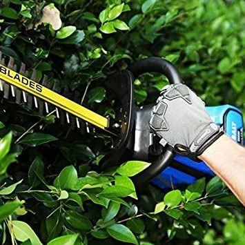 Photo 1 of KOBALT  24 INCH DUAL CORDLESS HEDGE TRIMMER 40 VOLT MAX TOOL ONLY BATTERY NOT INCLUDED  USED 