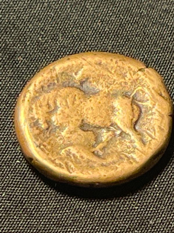 Photo 2 of 317-289 BC. GREEK AGATHOCLES SICILY HEAD OF KORE BULL BUTTING LEFT COIN