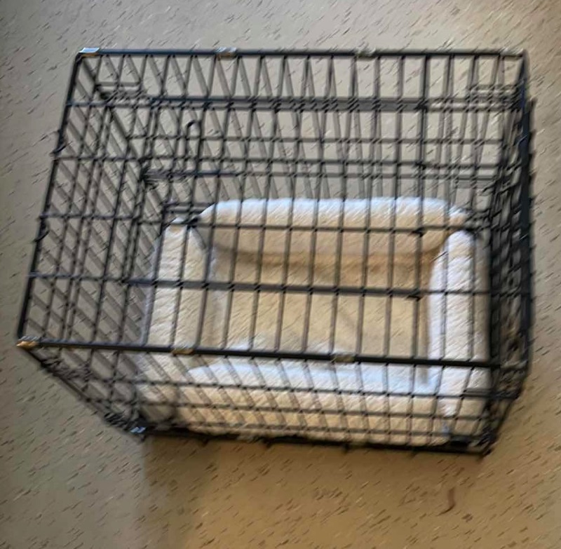 Photo 2 of PRECISION PET PRODUCTS DOG CRATE & BED
24X 17 X 20