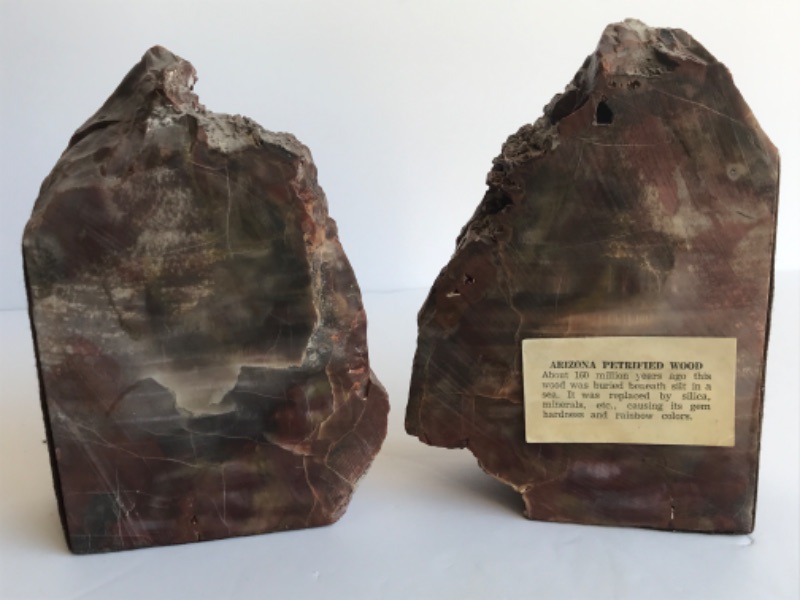 Photo 2 of ARIZONA PETRIFIED WOOD BOOK ENDS