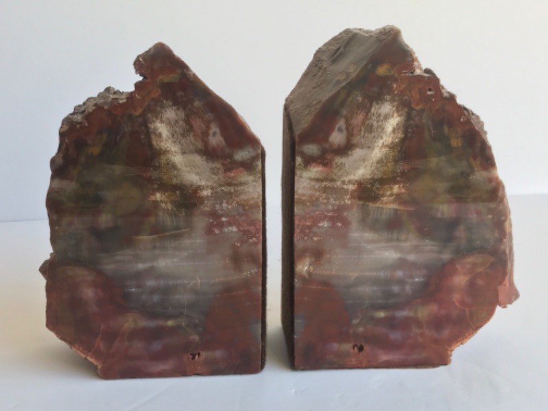 Photo 1 of ARIZONA PETRIFIED WOOD BOOK ENDS