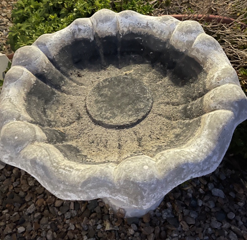 Photo 3 of VINTAGE CONCRETE BIRDBATH W/ SWIRL BASE AND TULIP TOP H- 35”