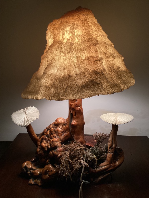 Photo 1 of 1960’s CYPRESS WOOD CORAL MUSHROOM LAMP