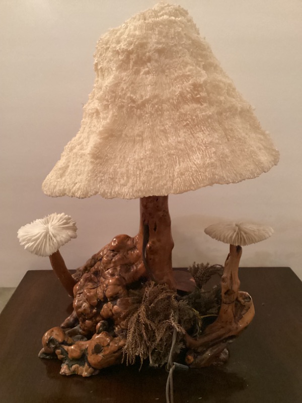 Photo 2 of 1960’s CYPRESS WOOD CORAL MUSHROOM LAMP